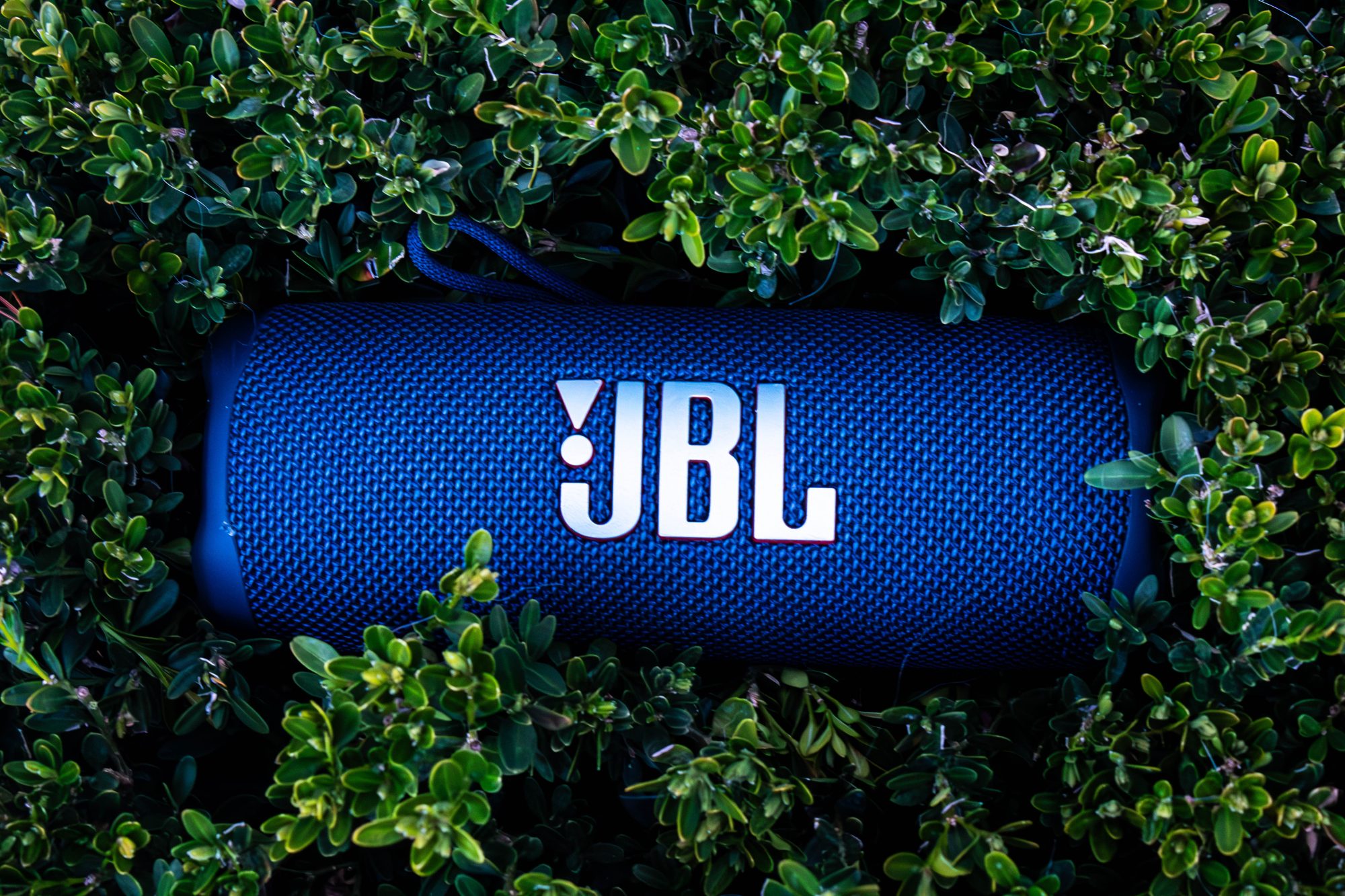 JBL speaker in hedge leaves