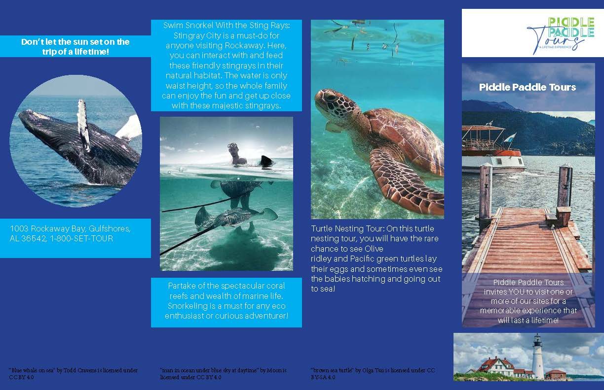Trifold brochure, inside panels